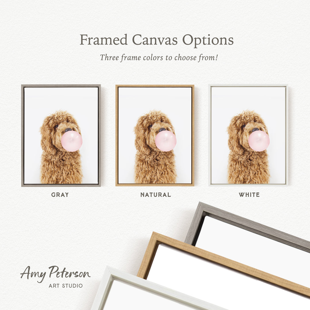 three framed canvas options, each featuring a brown dog blowing a bubble with a pink bubble gum bubble. The options include a gray frame, a natural frame, and a white frame.