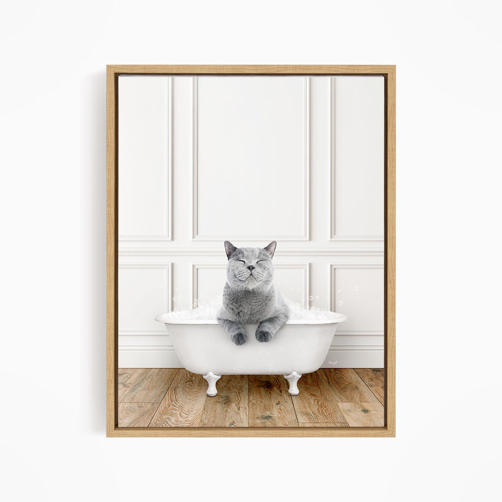 A gray cat sitting in a white bathtub, with its paws resting on the side of the tub.