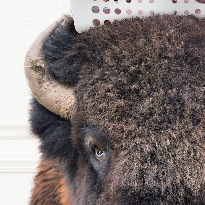 a close up of a bison with a hat on its head