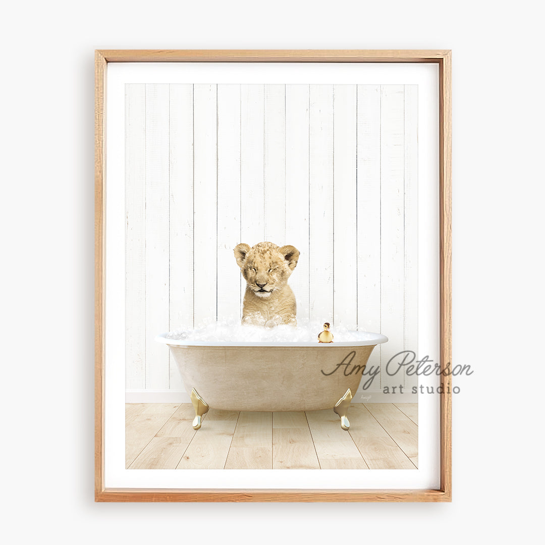 a framed photograph of a baby lion in a bathtub