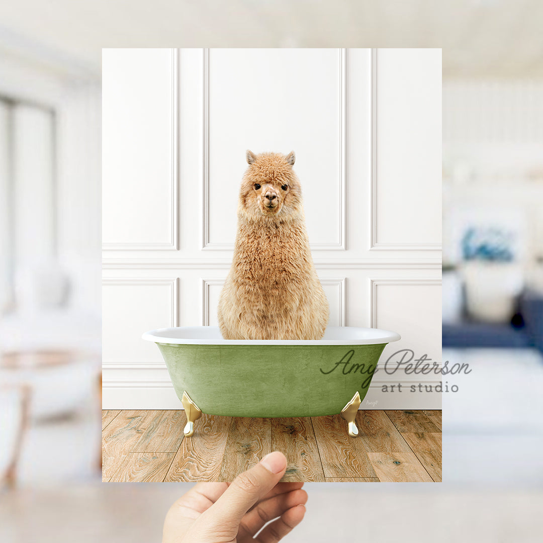 a hand holding a card with a dog in a bathtub