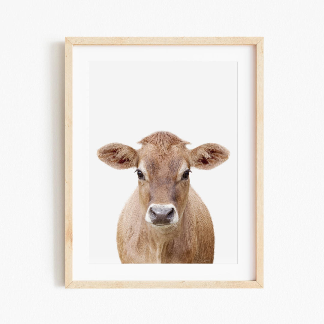 a picture of a brown cow with a white background