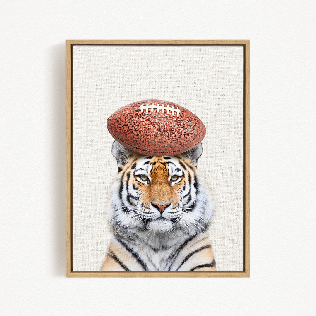 A tiger with a football resting on its head, creating a humorous and playful scene.