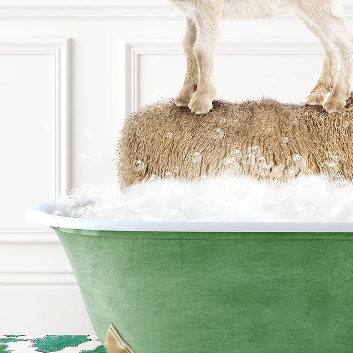 a goat standing on top of a bathtub full of foam