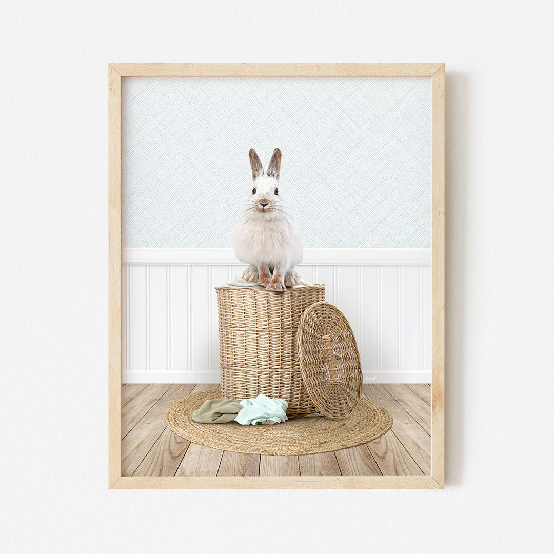 a white rabbit sitting on top of a basket