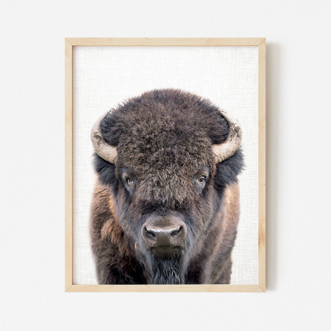 a picture of a bison with horns hanging on a wall