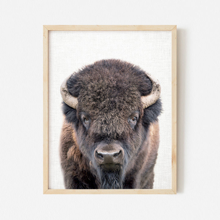 a picture of a bison with horns hanging on a wall