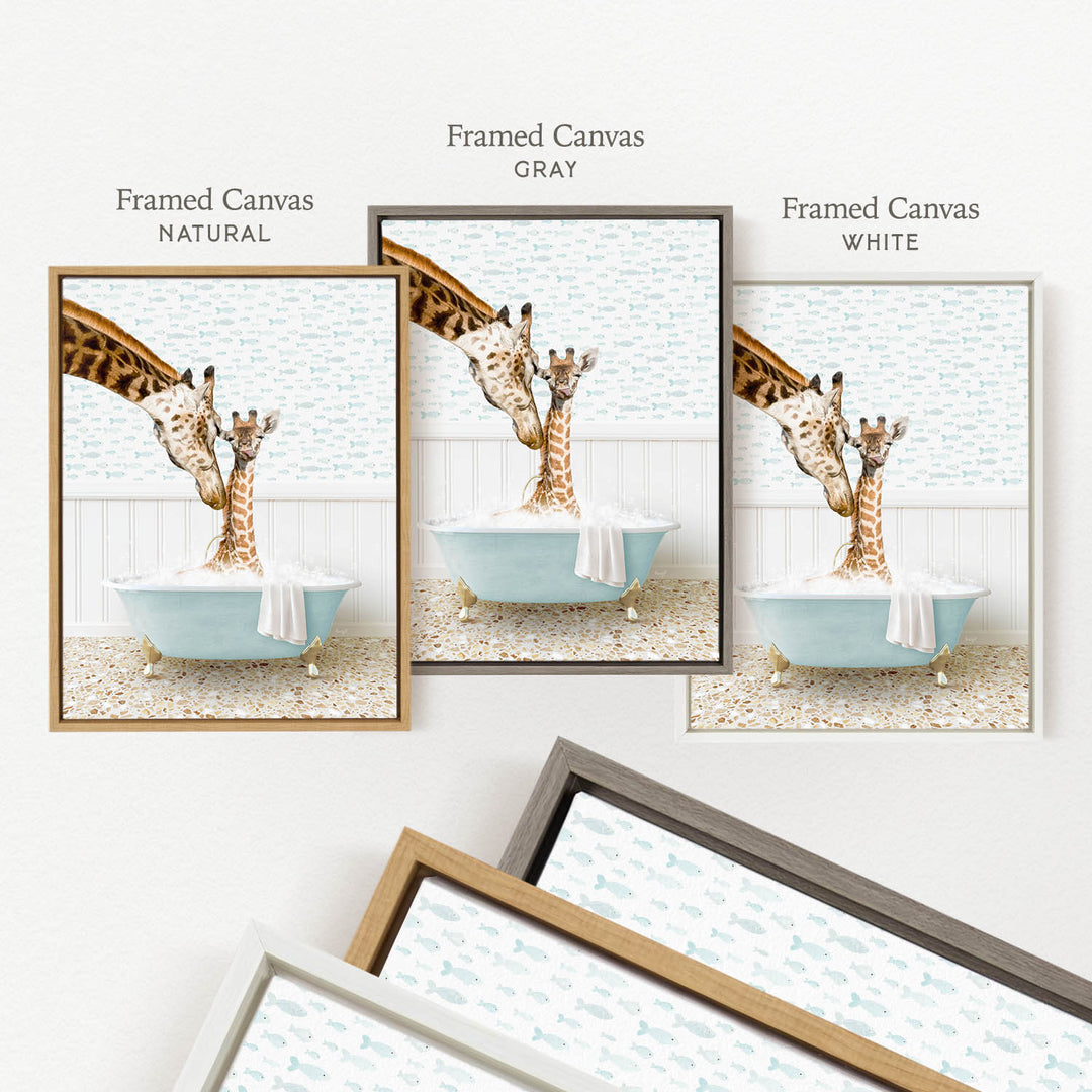 The image is a framed canvas depicting three giraffes in bathtubs, with one giraffe in each tub. The text labels the framed canvases as " Framed Canvas NATURAL", " Framed Canvas GREY", and " Framed Canvas WHITE".