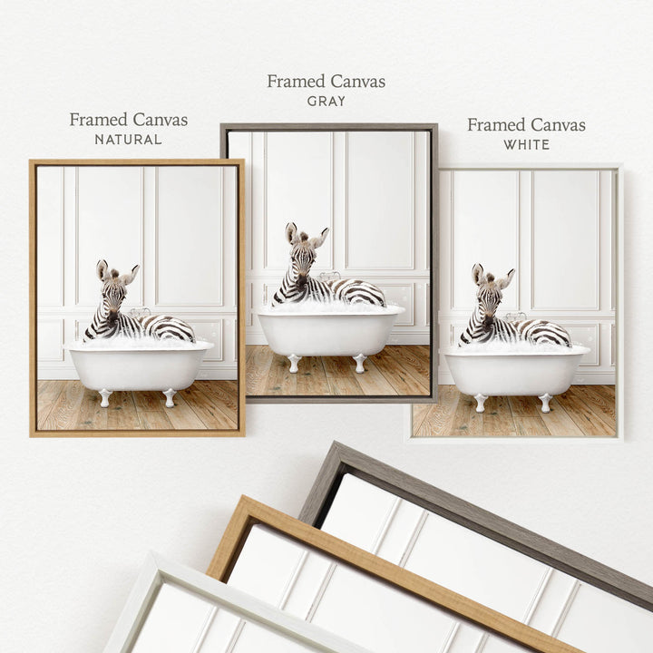 three framed pictures of a zebra sitting in a bathtub, each with a different frame color: natural, gray, and white.