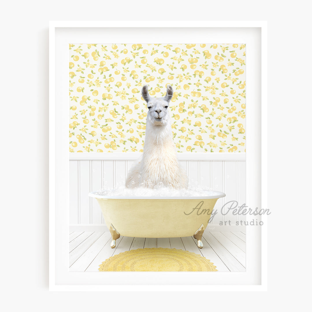 a white llama sitting in a bath tub