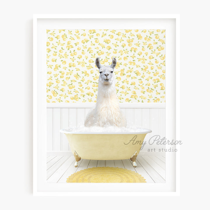 a white llama sitting in a bath tub