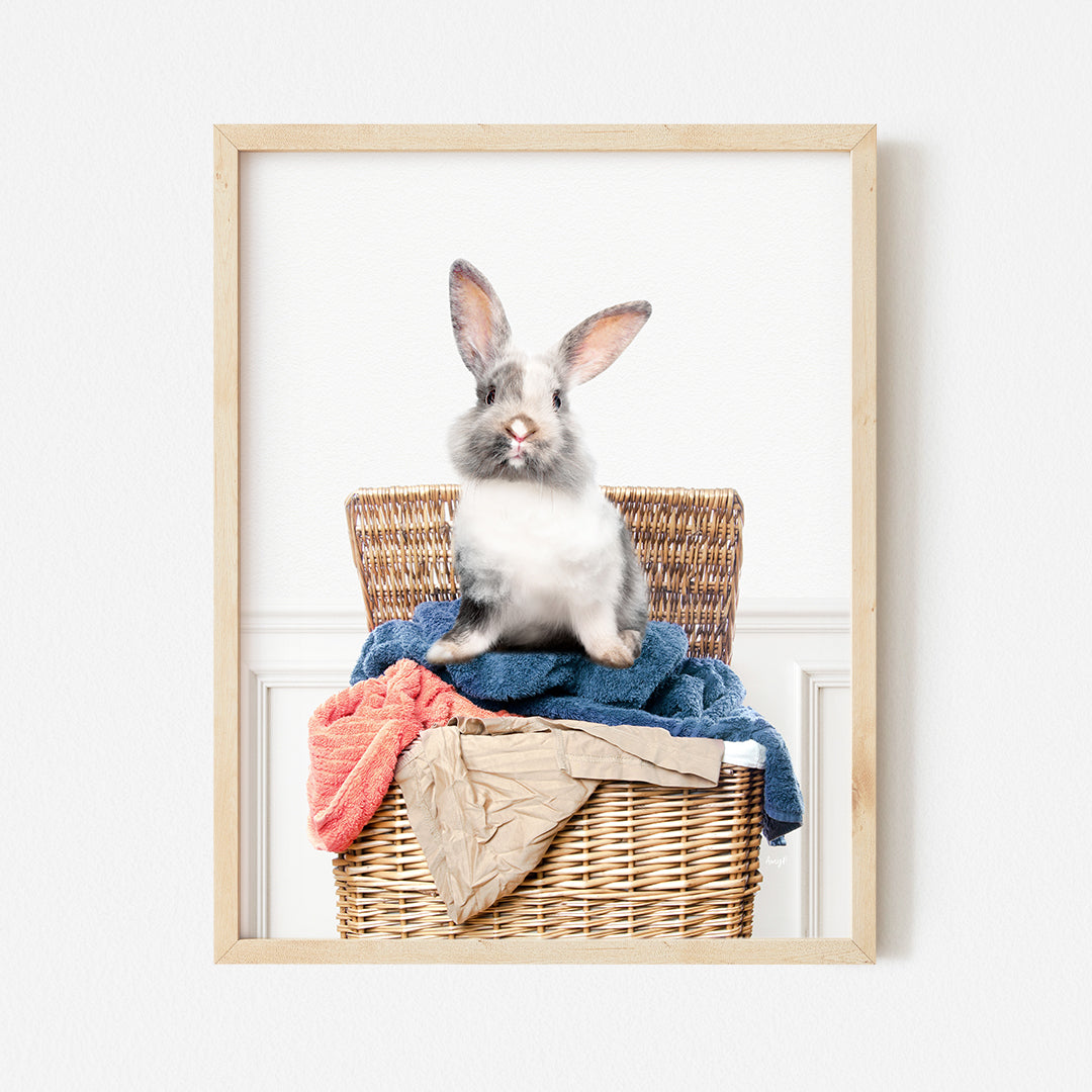 a rabbit sitting on top of a wicker basket