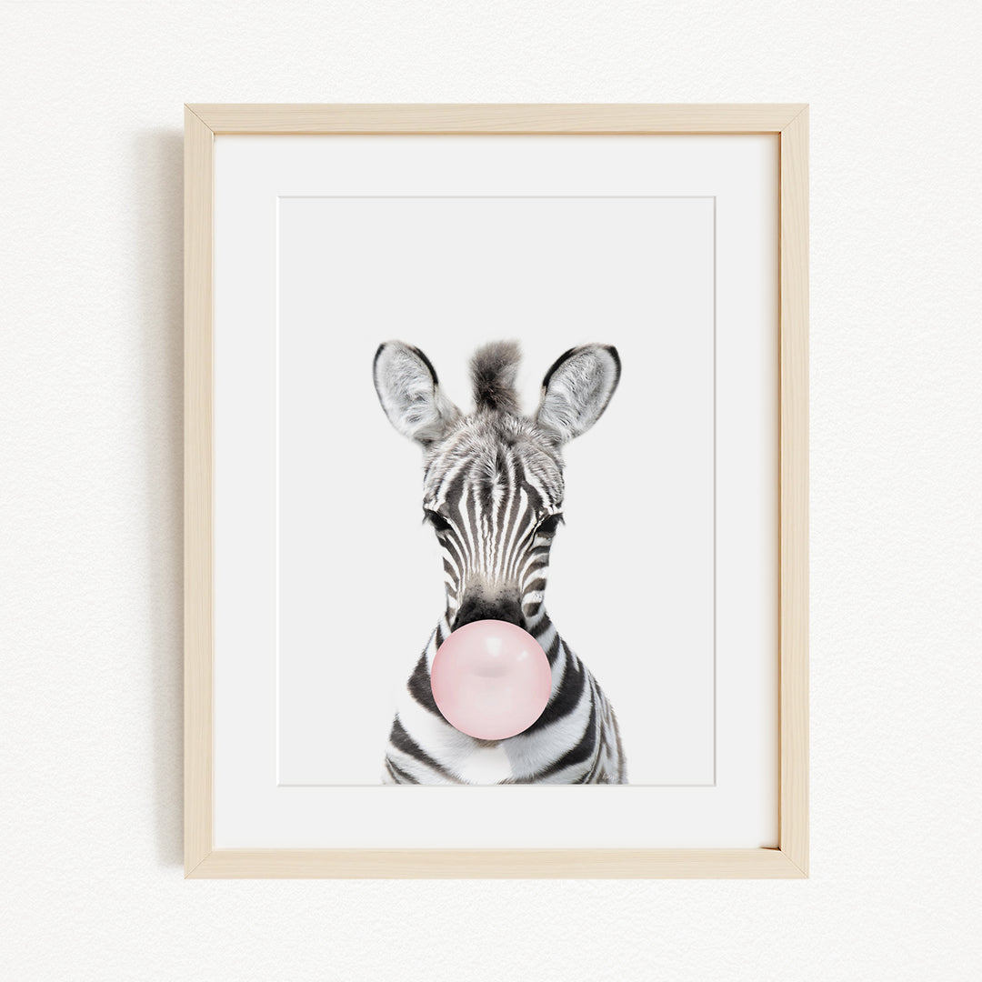 A zebra blowing a bubble with a pink bubble gum bubble.