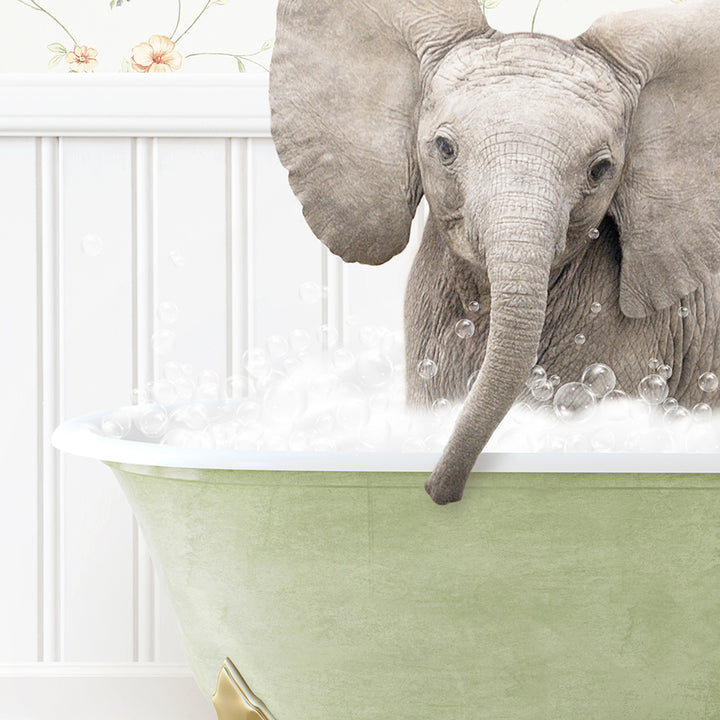 a baby elephant standing in a bathtub full of bubbles