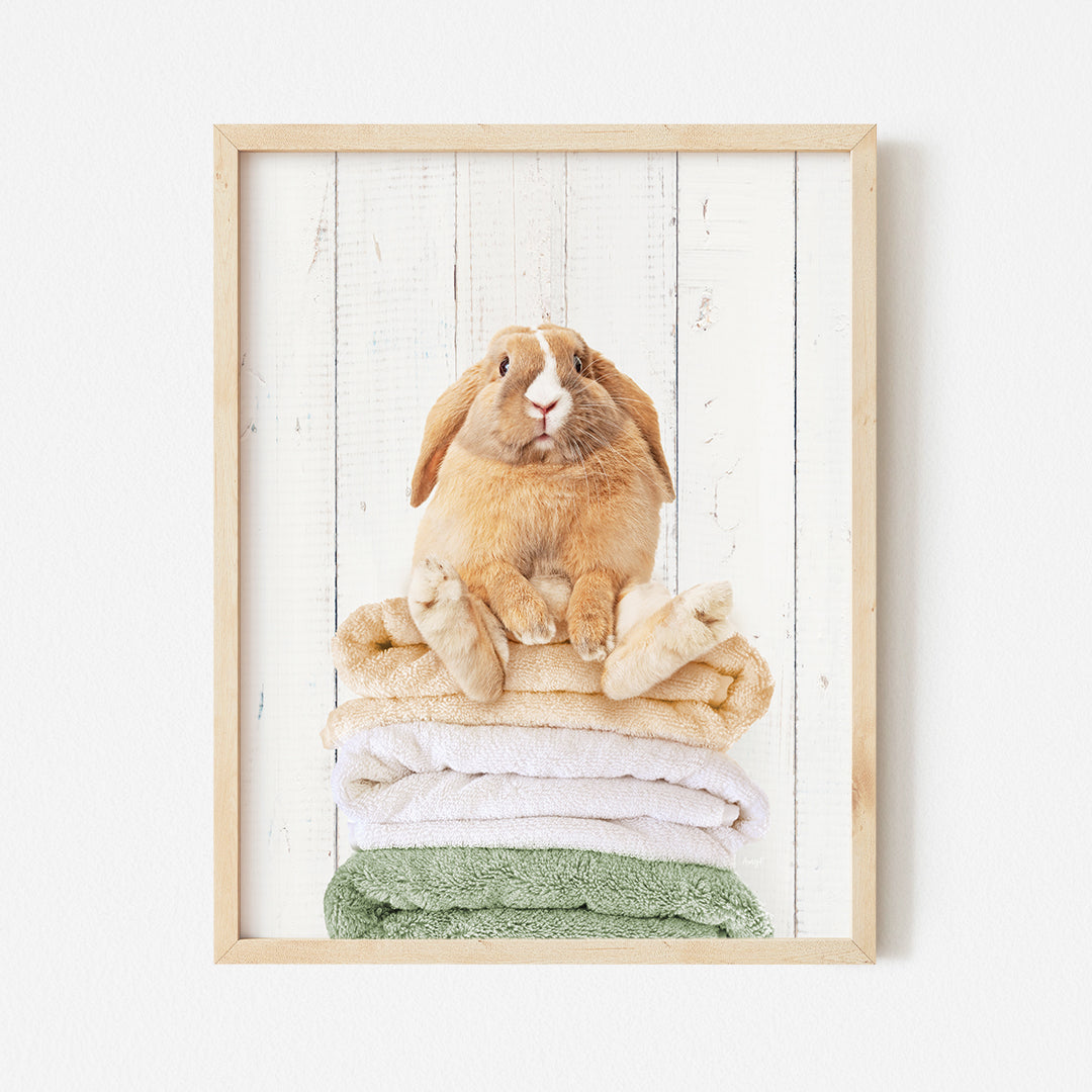 a rabbit sitting on top of a pile of folded towels