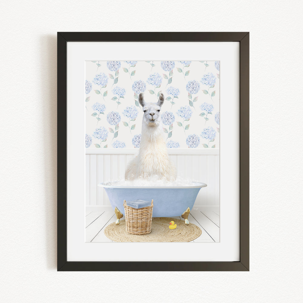 A white llama sitting in a blue bathtub filled with bubbles, surrounded by a floral patterned wall and a basket of rubber ducks.