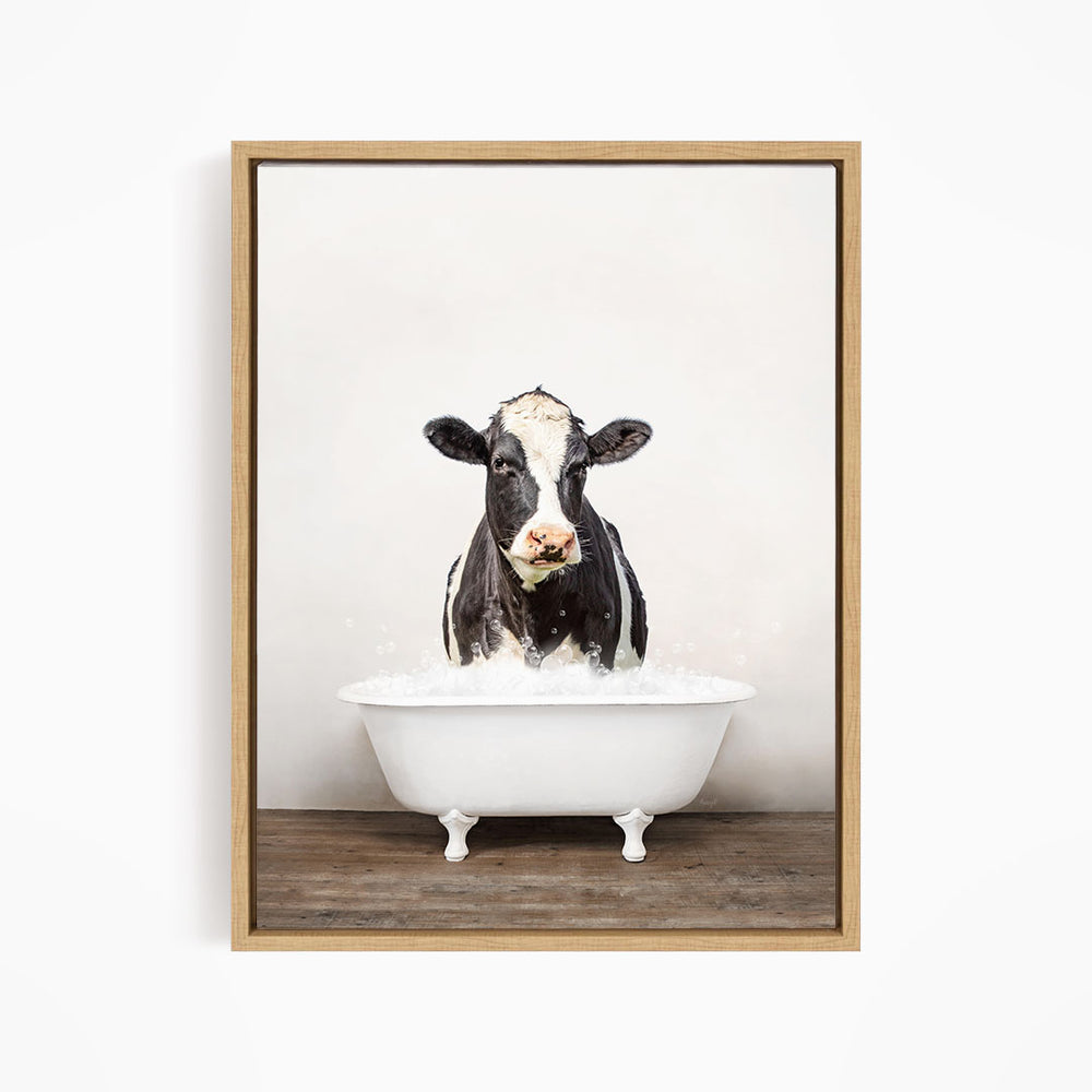 A black and white cow is sitting in a white bathtub filled with water, creating a whimsical and humorous scene.