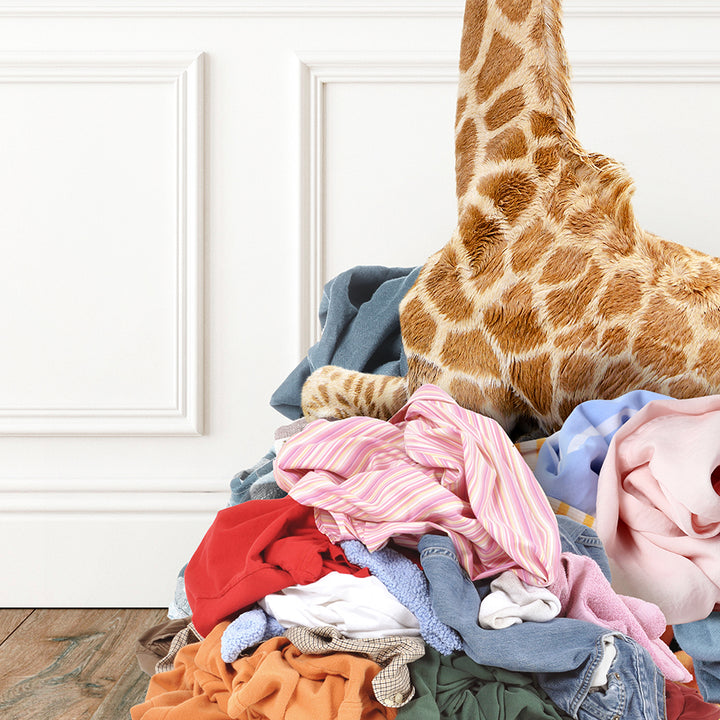 a giraffe standing over a pile of clothes