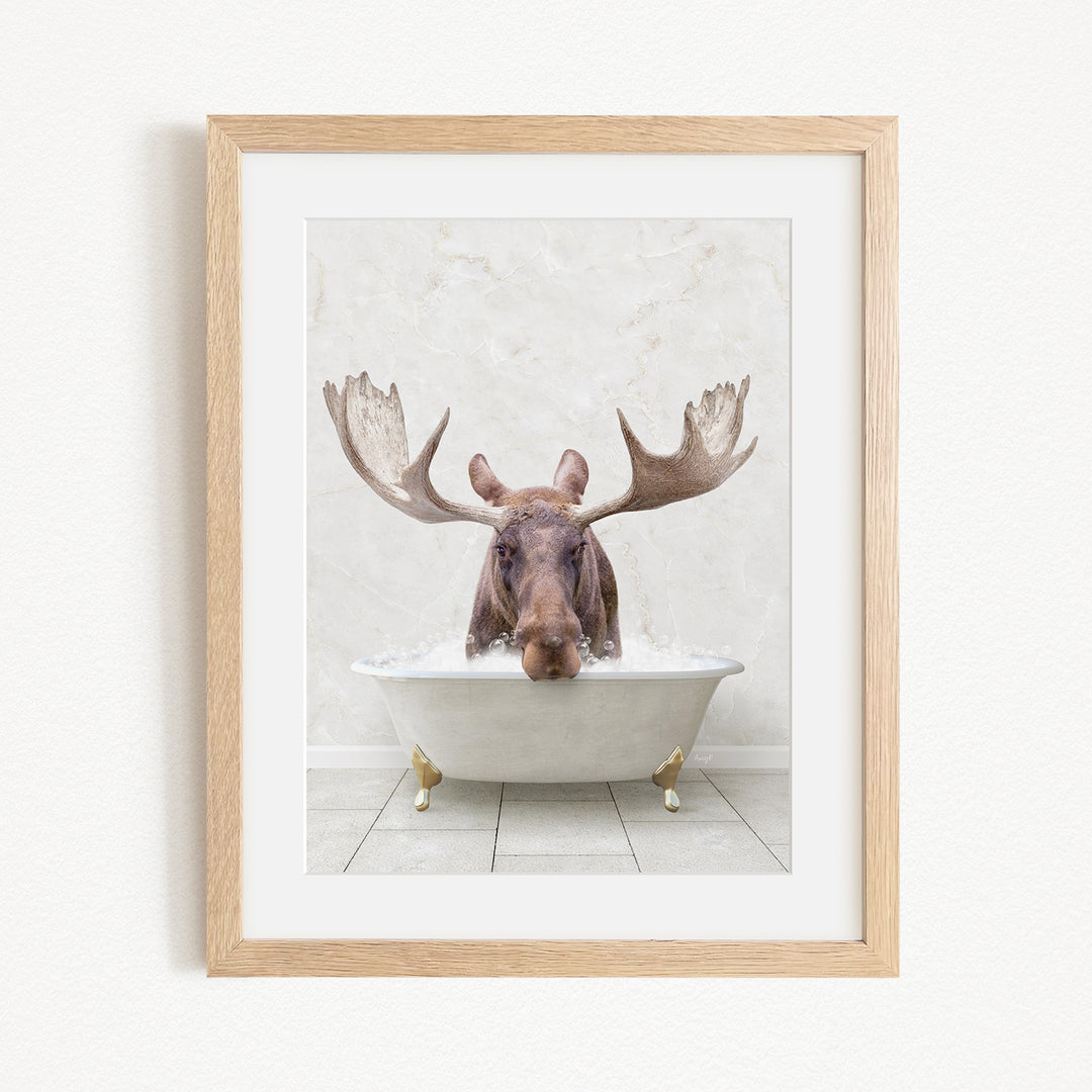 A moose with large antlers is sitting in a white bathtub, appearing to enjoy a relaxing soak.