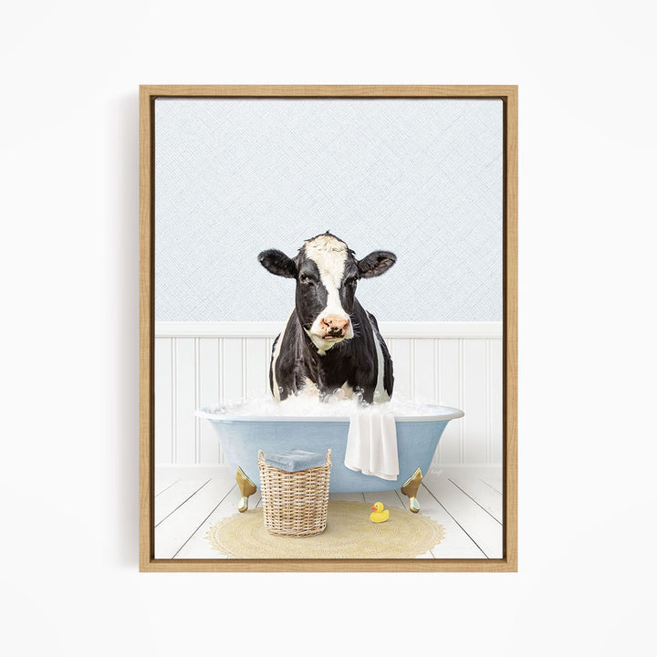 A black and white cow is sitting in a blue bathtub filled with water, surrounded by rubber ducks.