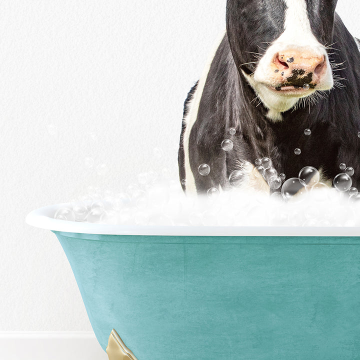 a black and white cow sitting in a bathtub filled with bubbles