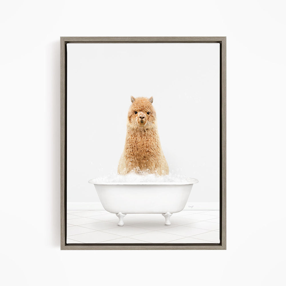 A fluffy brown alpaca sitting in a white bathtub filled with water, looking directly at the camera.
