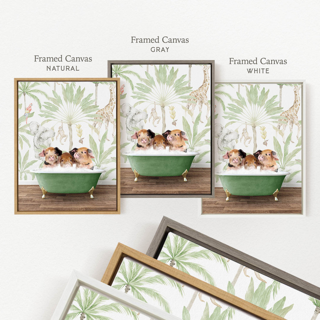 three framed prints of the same scene, featuring a green bathtub with three small animals, likely pigs, sitting in it. The prints are labeled as " Framed Canvas" in different colors: "Natural", "Grey", and "White".