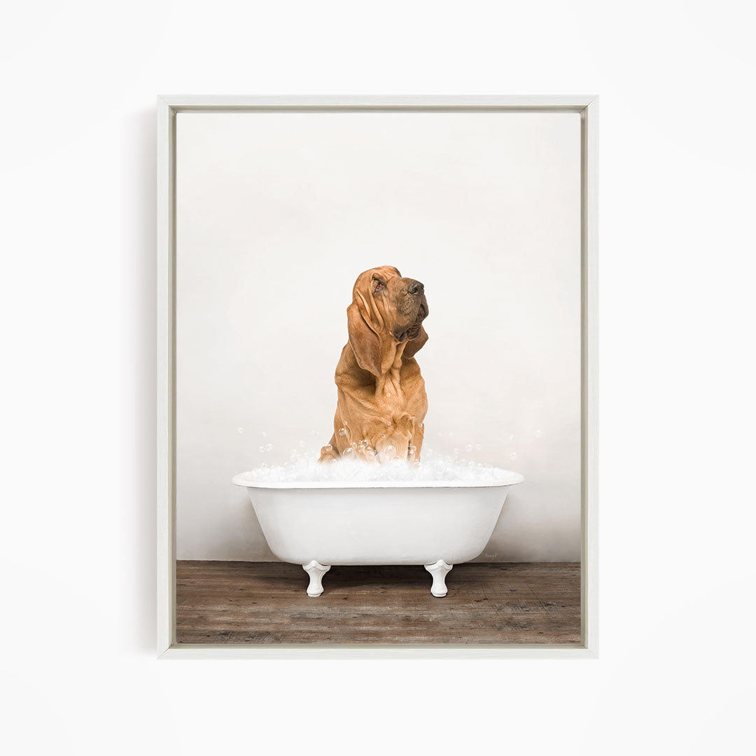 A dog sitting in a white bathtub filled with water, with its head raised and eyes closed, creating a playful and whimsical scene.