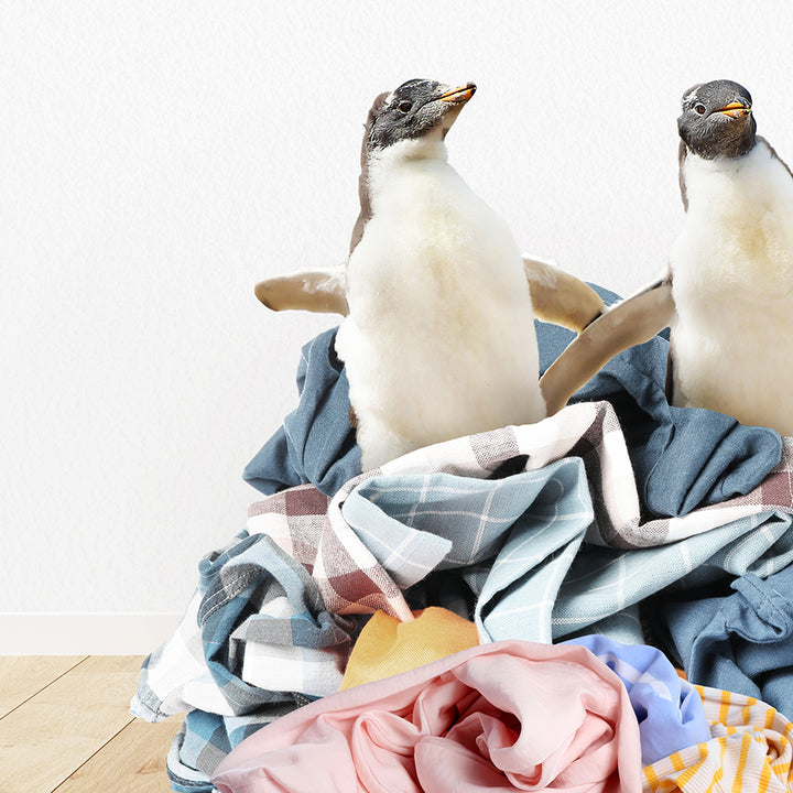 two penguins sitting on top of a pile of clothes