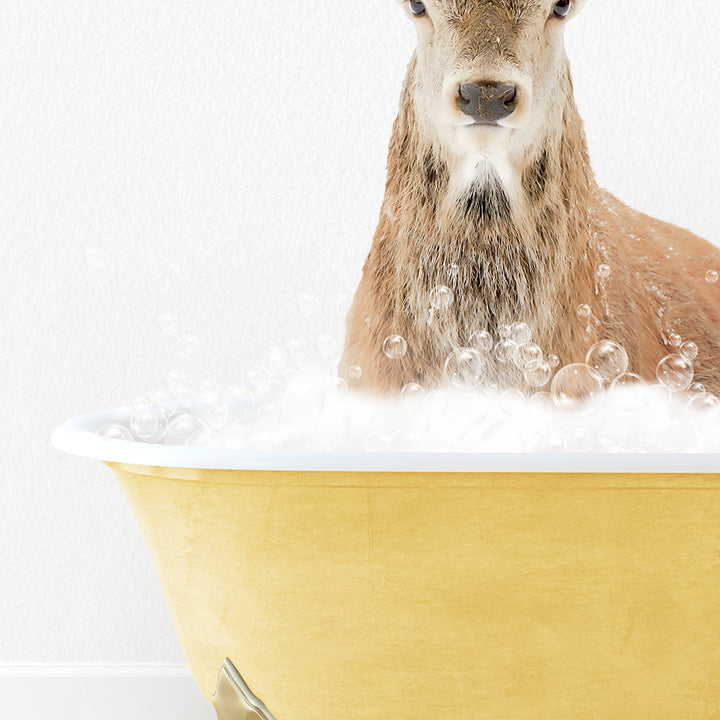 a deer is sitting in a bathtub with bubbles