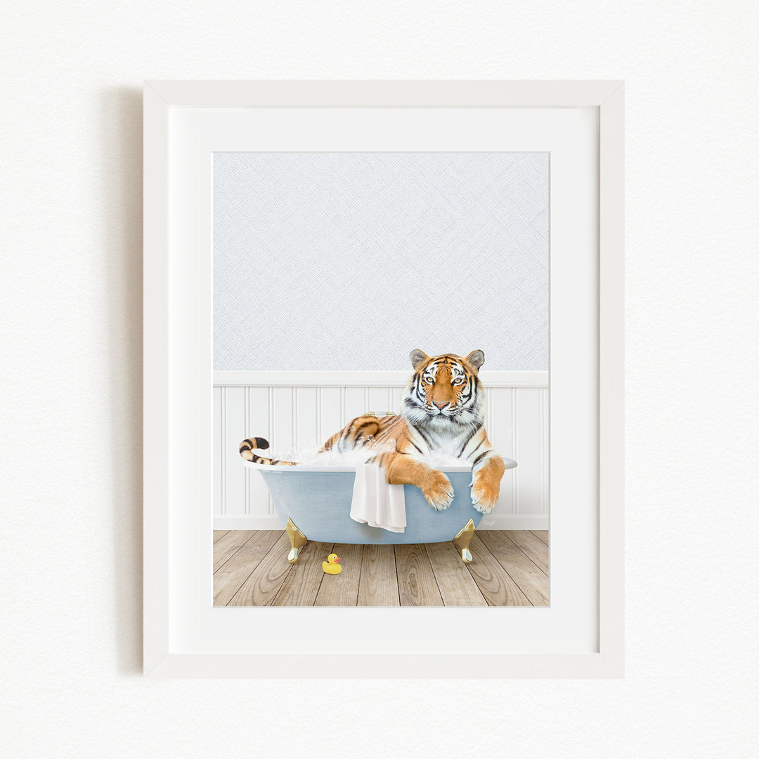 A tiger is sitting in a blue bathtub, surrounded by a white wall and wooden floor.