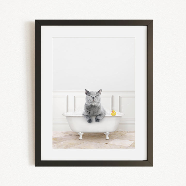 A gray cat sitting in a white bathtub, with a yellow rubber duck floating in the water.