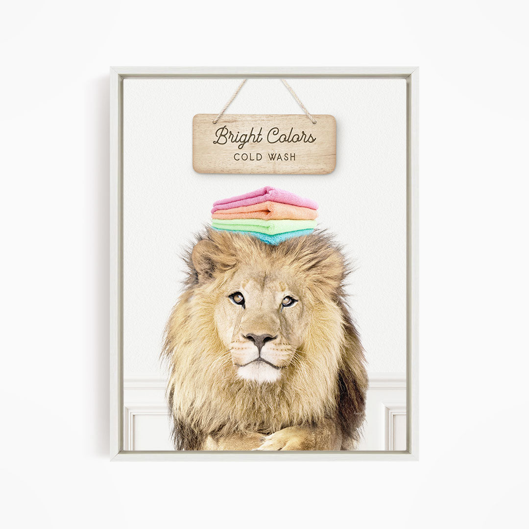 A framed image of a lion with a sign above it that says "Bright Colors Cold Wash".
