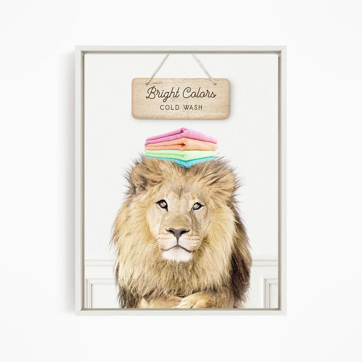 A framed image of a lion with a sign above it that says "Bright Colors Cold Wash".