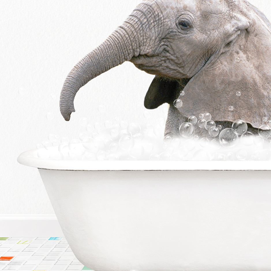 a baby elephant in a bathtub with bubbles