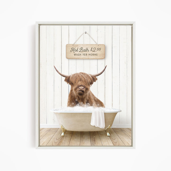 A brown Highland cow is sitting in a white bathtub, with a sign above it that reads "Hot Bath $2.00 WASH YER HORSES".