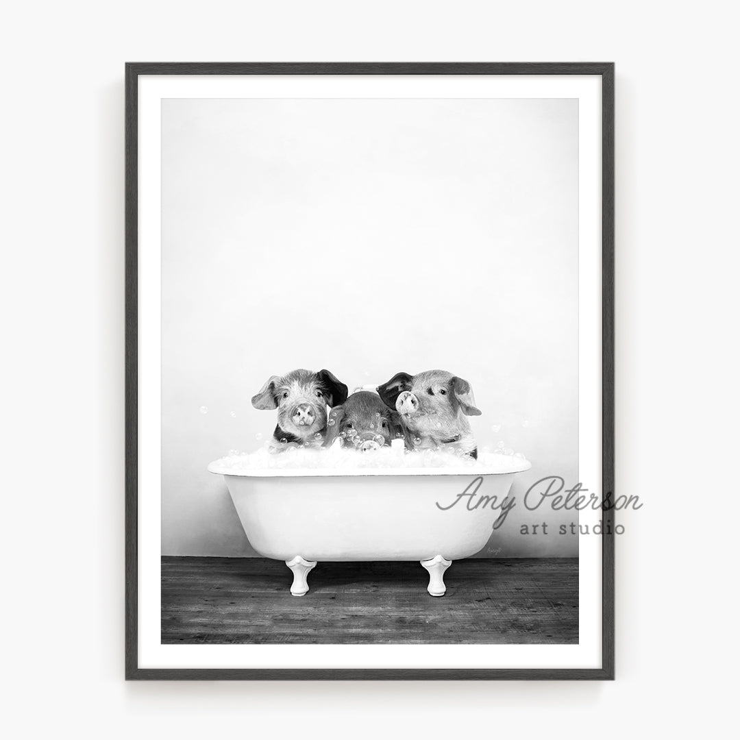 a black and white photo of three dogs in a bathtub