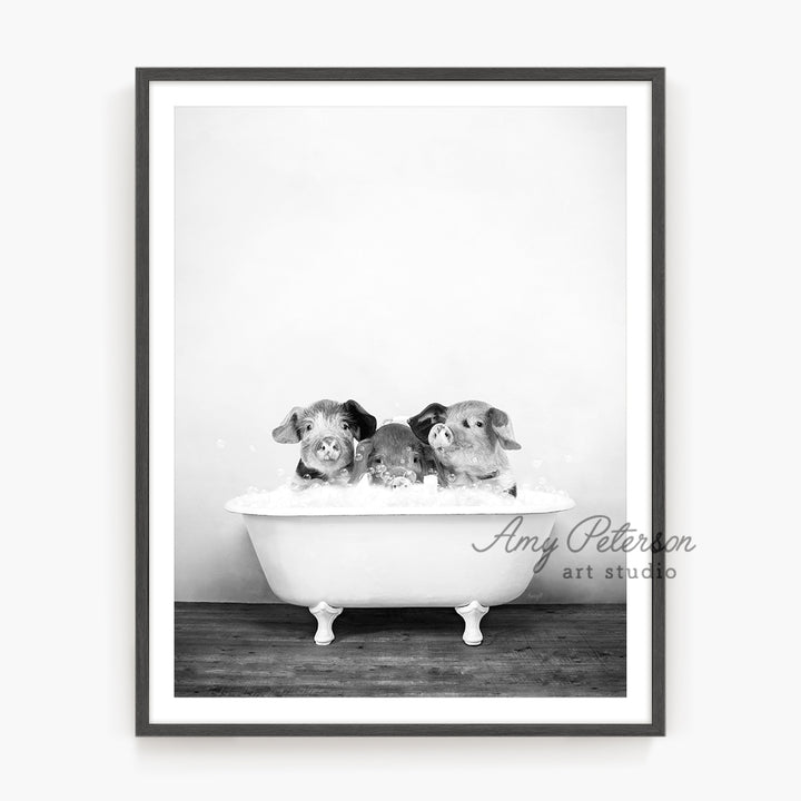 a black and white photo of three dogs in a bathtub