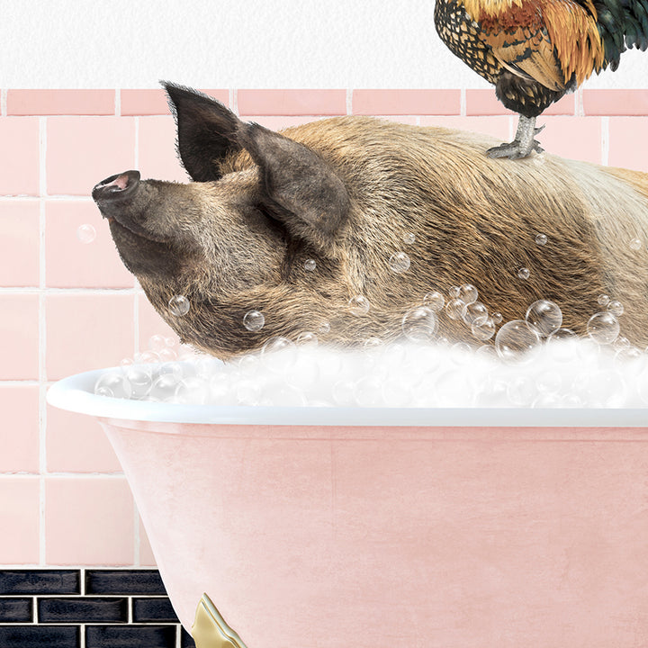 a pig in a bathtub with a chicken on top of it