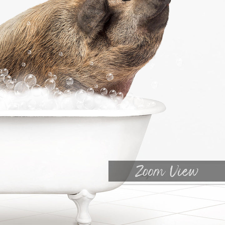 A pig sitting in a white bathtub filled with bubbles, enjoying a bath.