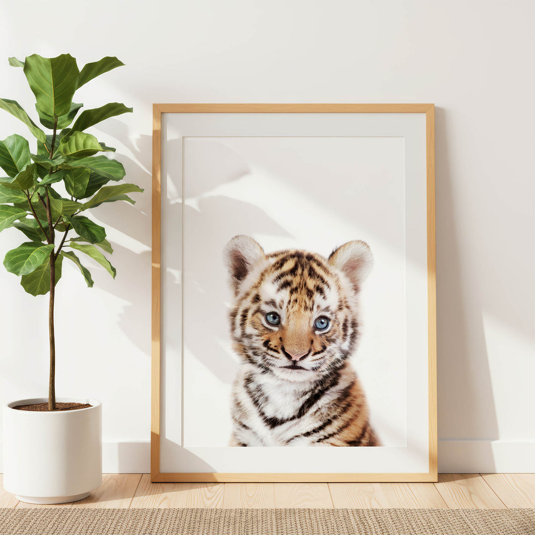 A framed photograph of a young tiger cub is displayed on a white wall, with a potted plant to the left.