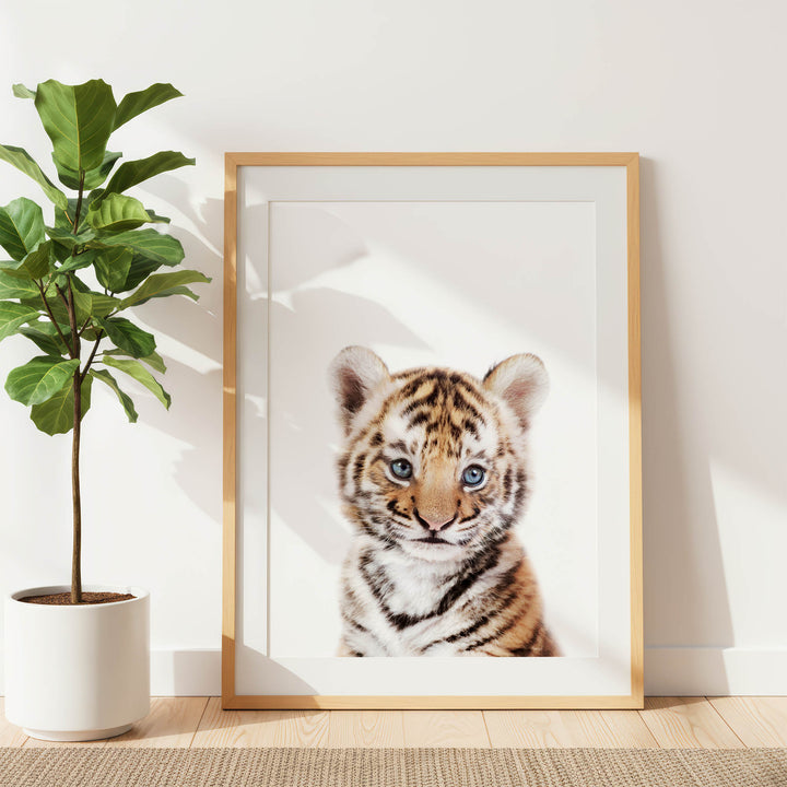 A framed photograph of a young tiger cub is displayed on a white wall, with a potted plant to the left.