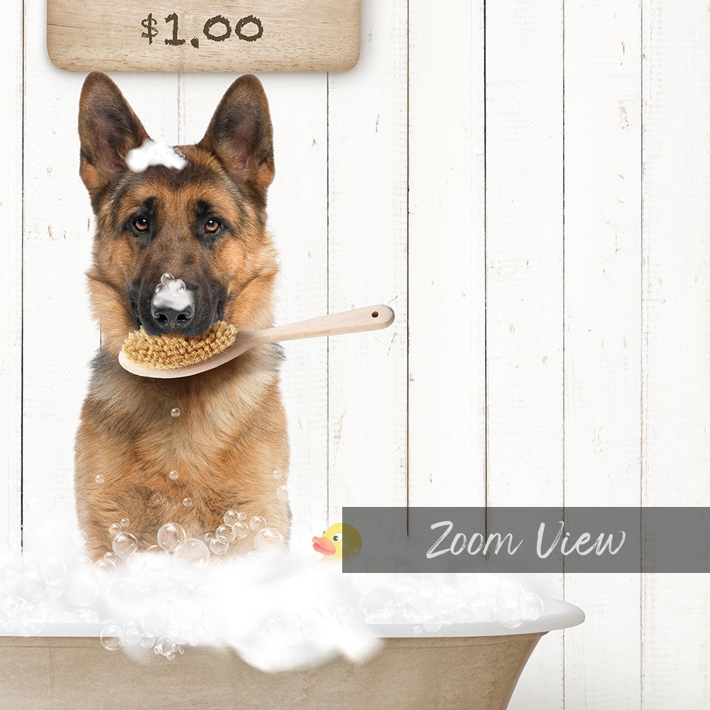 A German Shepherd dog sitting in a bathtub, holding a wooden brush in its mouth, with a sign indicating the price of $1.00 above it.