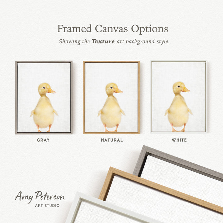 three framed canvas options, each featuring a different color and style of frame. The options include a gray frame, a natural frame, and a white frame. The text above the options reads " Framed Canvas Options" and "Showing the Texture art background style."