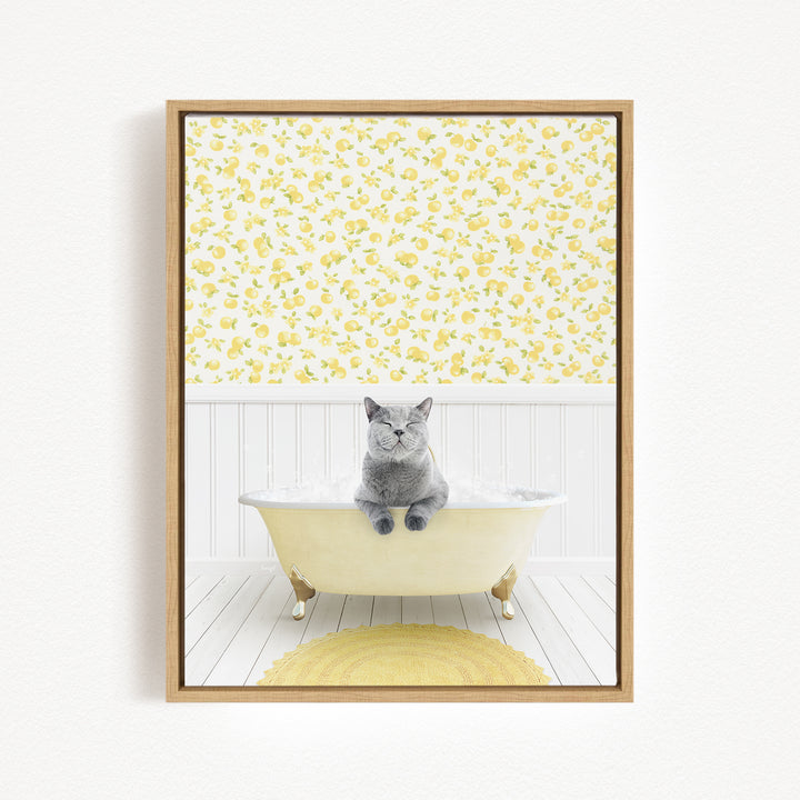 A gray cat sitting in a white bathtub filled with bubbles, with a yellow floral wallpaper in the background.