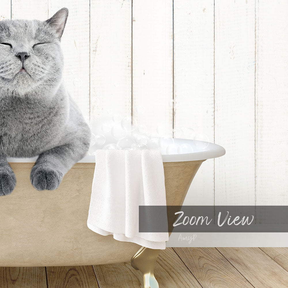 A gray cat sitting in a bathtub, with a towel draped over the side and a wooden wall in the background.