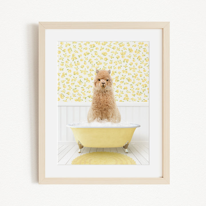 A fluffy brown dog sitting in a yellow bathtub, surrounded by a yellow floral patterned wall.