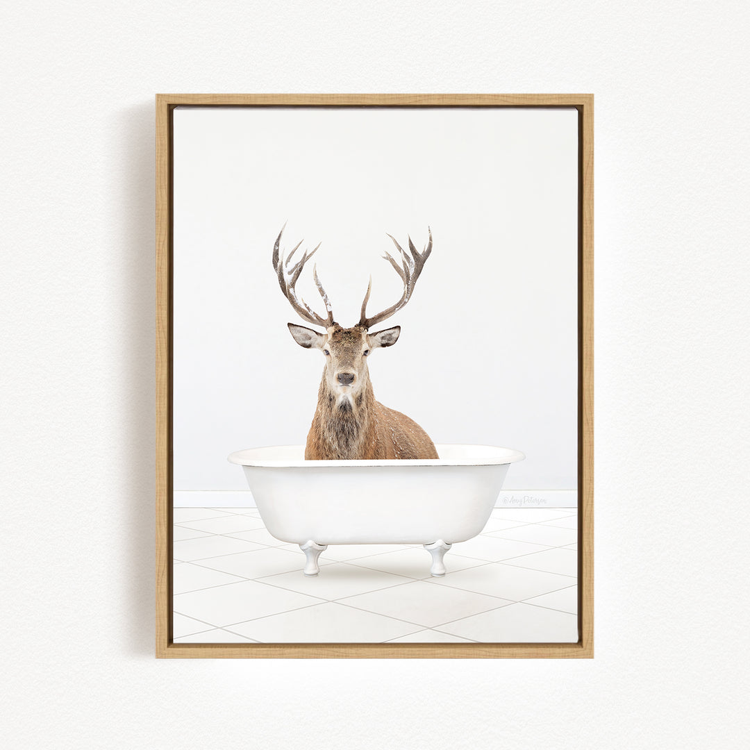 A deer with large antlers is sitting in a white bathtub against a white background.