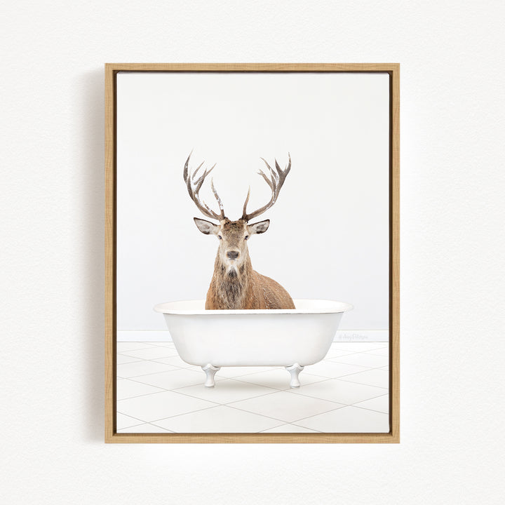A deer with large antlers is sitting in a white bathtub against a white background.
