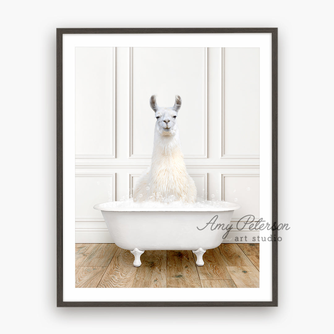 a llama sitting in a bathtub with a white wall behind it